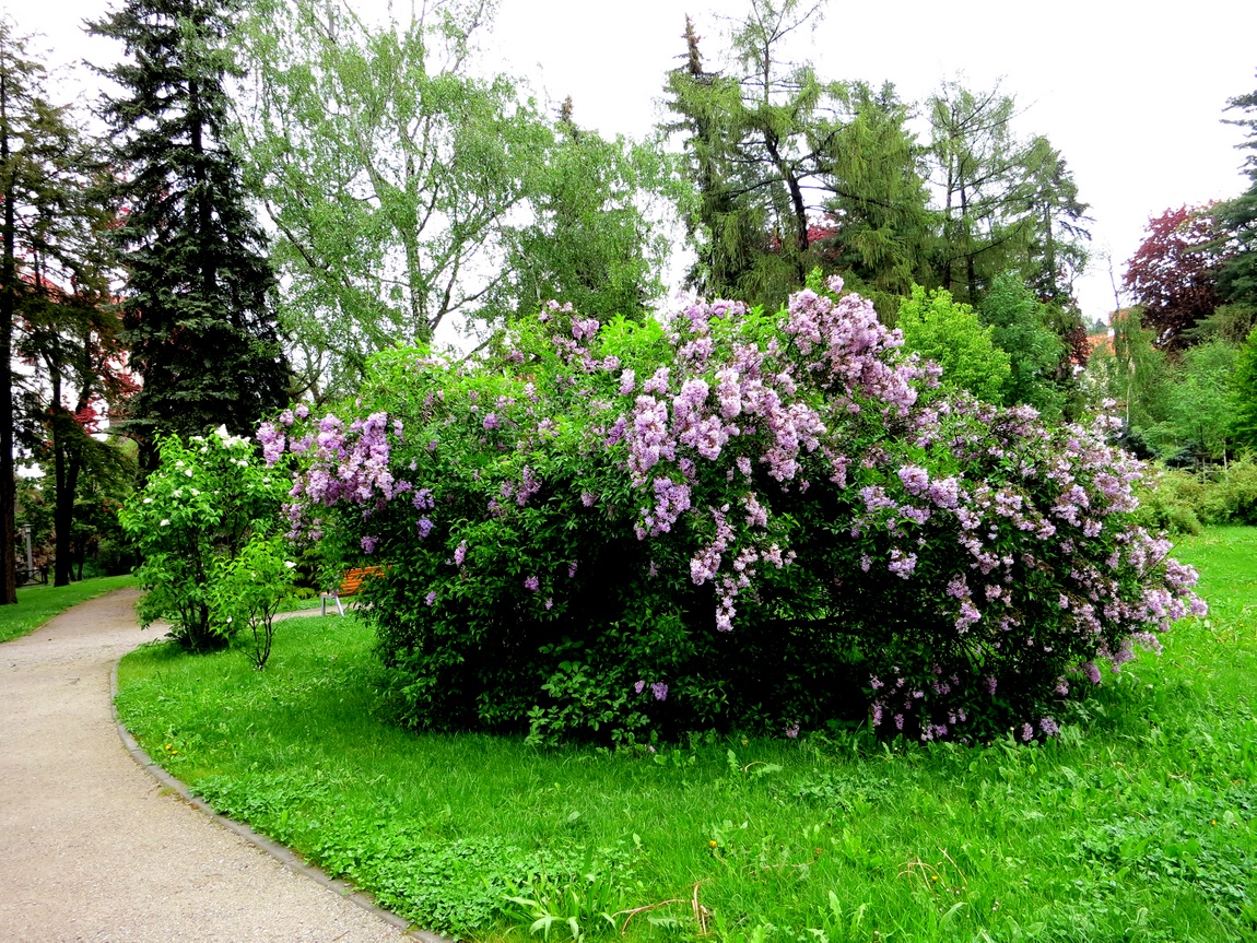 Парк в Чешском Крумлове (Чехия)