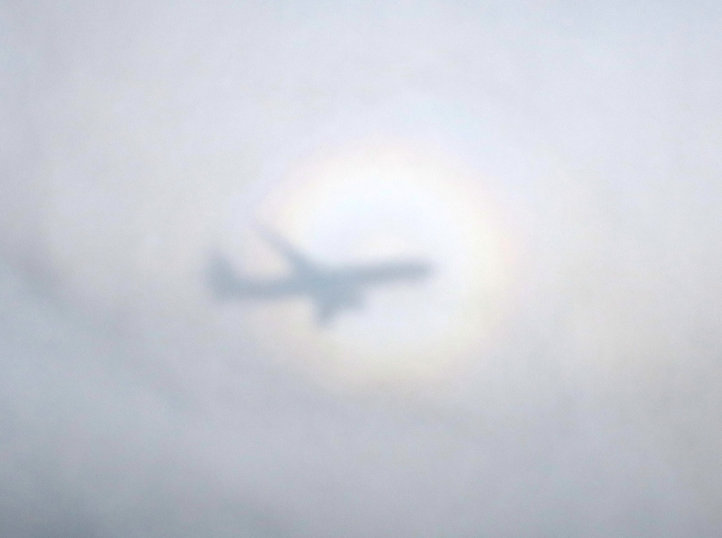 Тень от самолёта на нижних облаках, окружённый радугой
