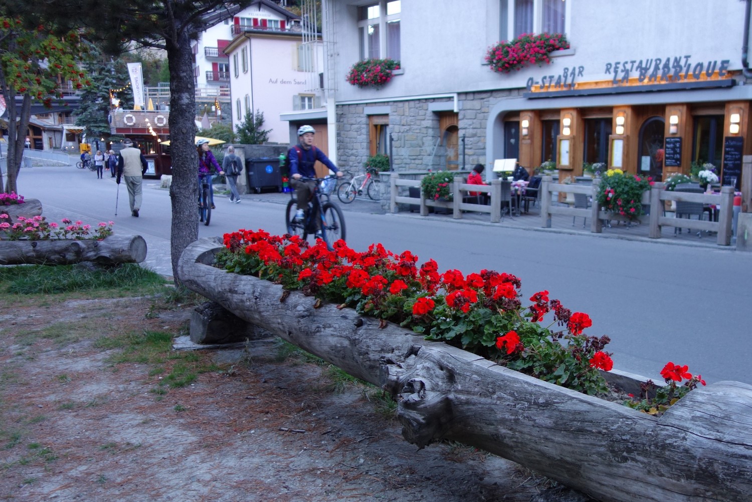 Цветы в бревне - Церматт (Швейцария)