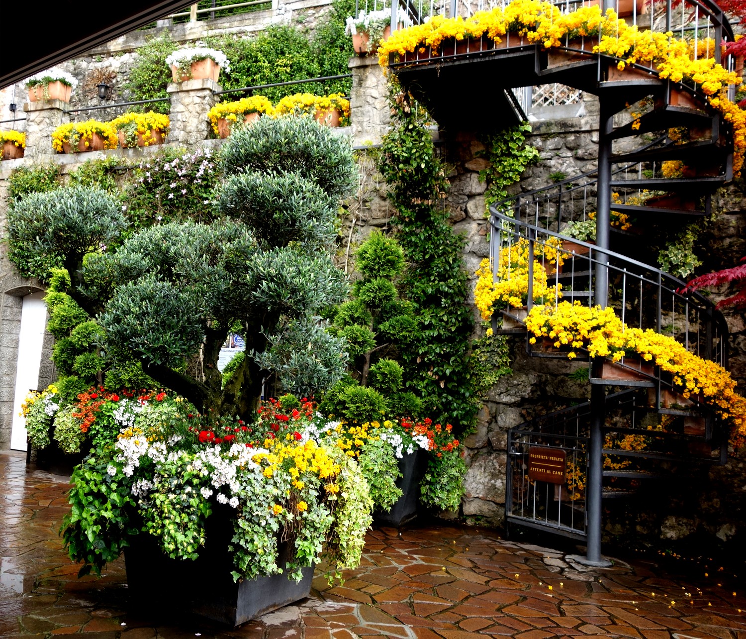 Цветы Италии