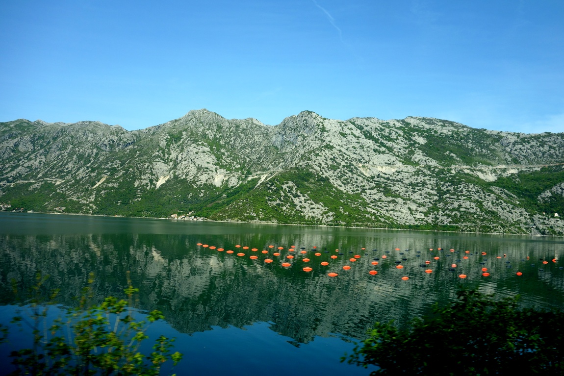 Боко-Которский залив в Черногории