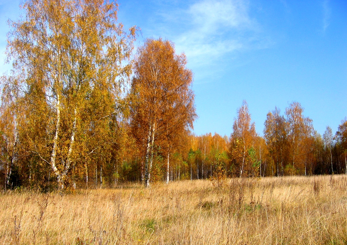 Деревня Щокотово в Яранском р. Зыковской волости