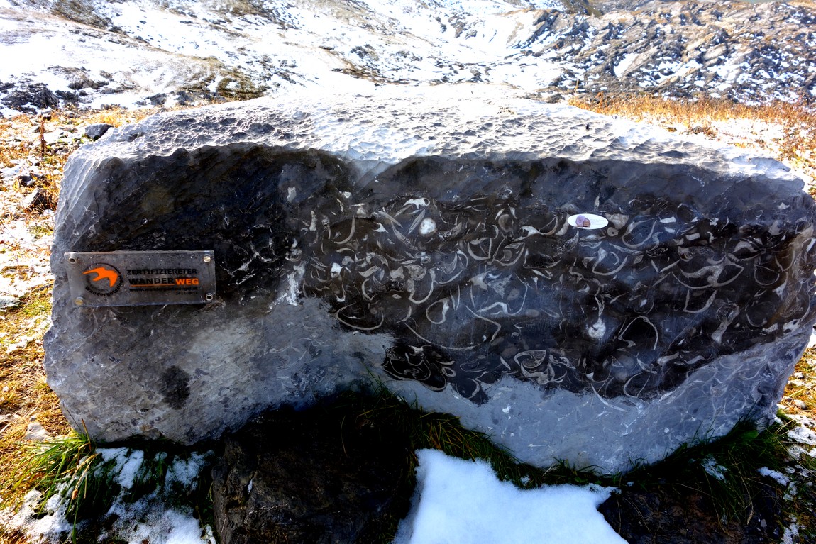 Ледниковый камень в горах Австрии