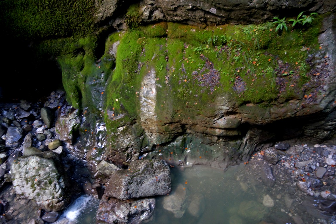 Ущелье Альплох (Австрия)
