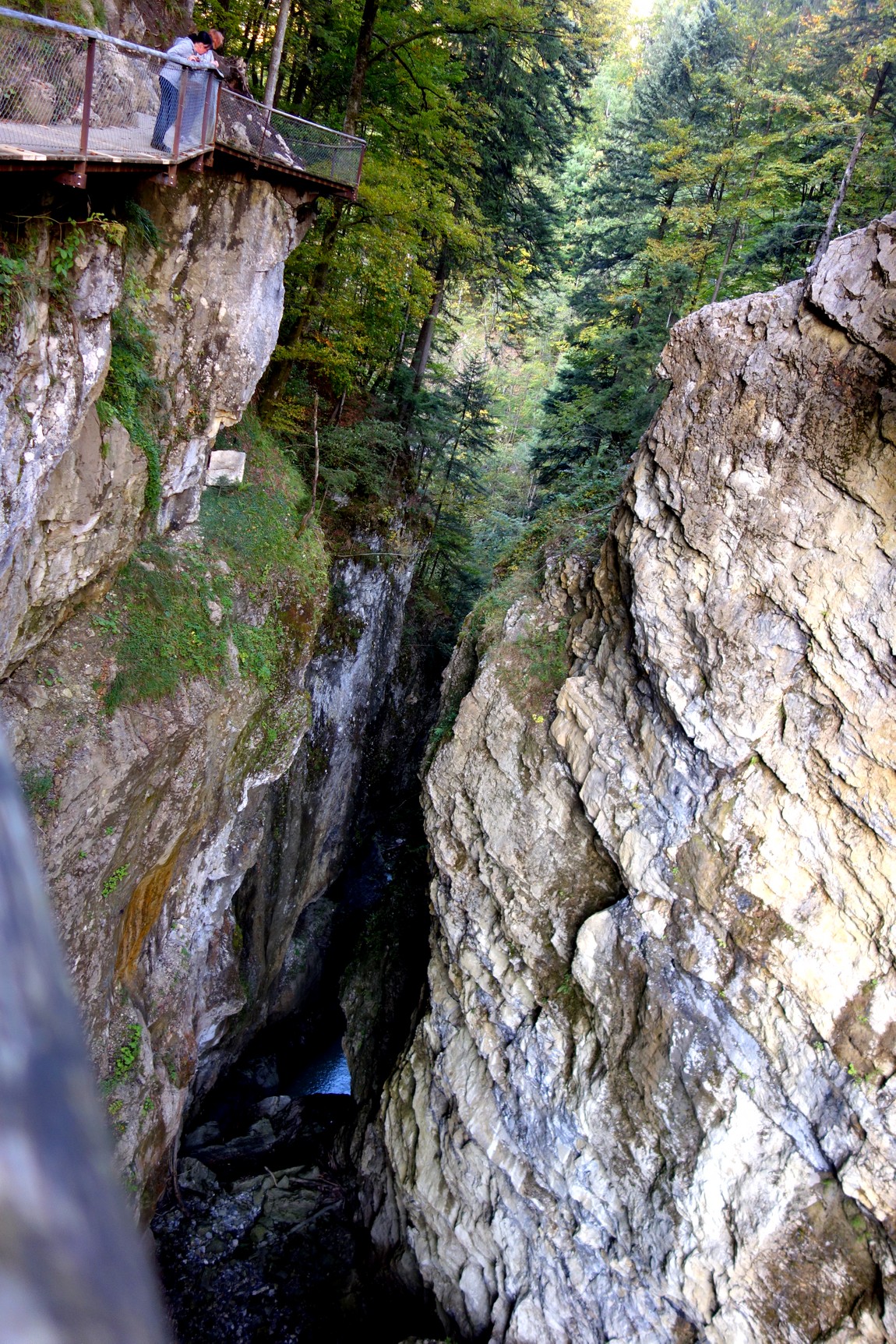 Глубокое ущелье Раппенлох (Австрия)