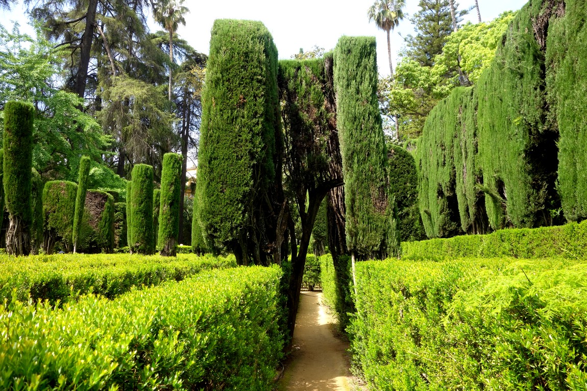 Сады Алькасар в Севилье