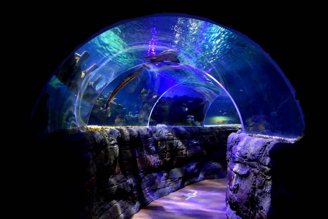Морской аквариум (Sea Life) Малага