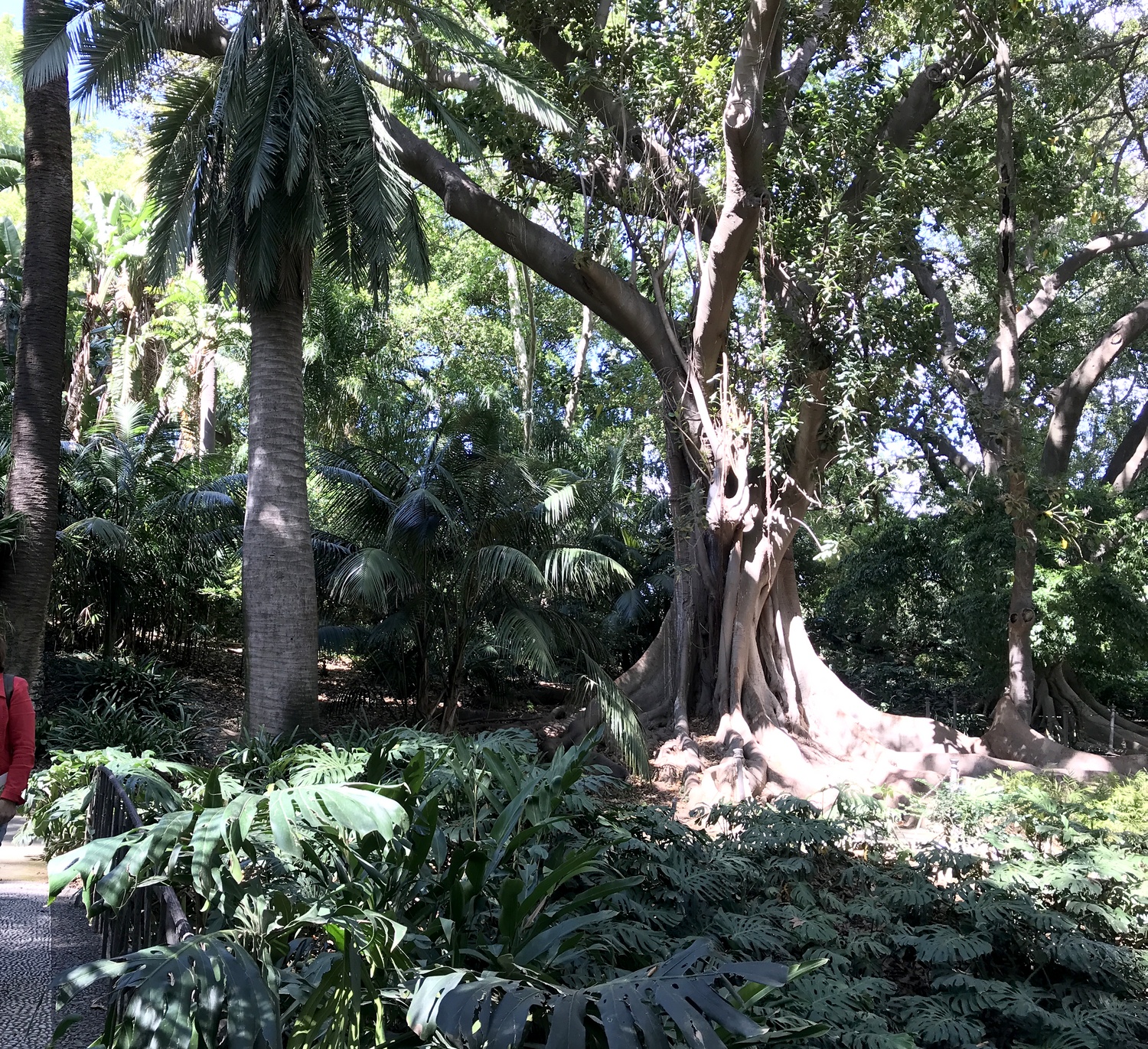 Ботанический сад La Concepcion
