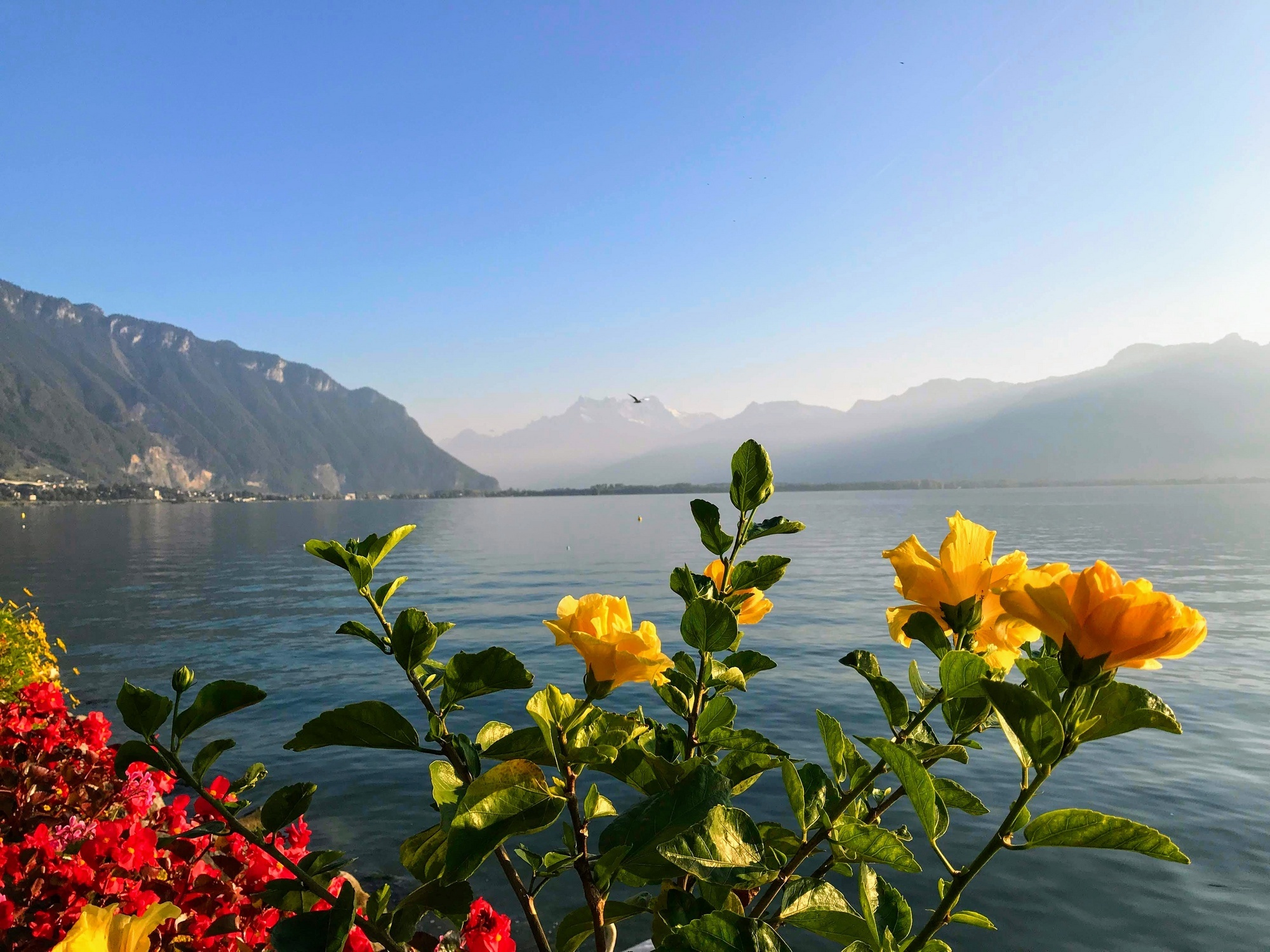 Монтрё (Швейцария) - Женевское озеро