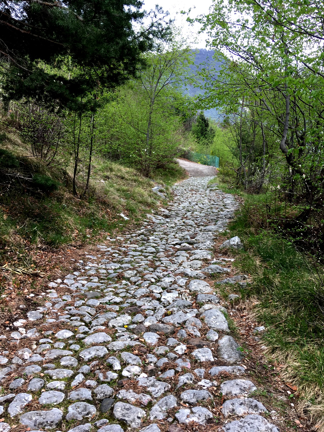 Пешеходная тропа с горы Монте-Бальдо в Италии