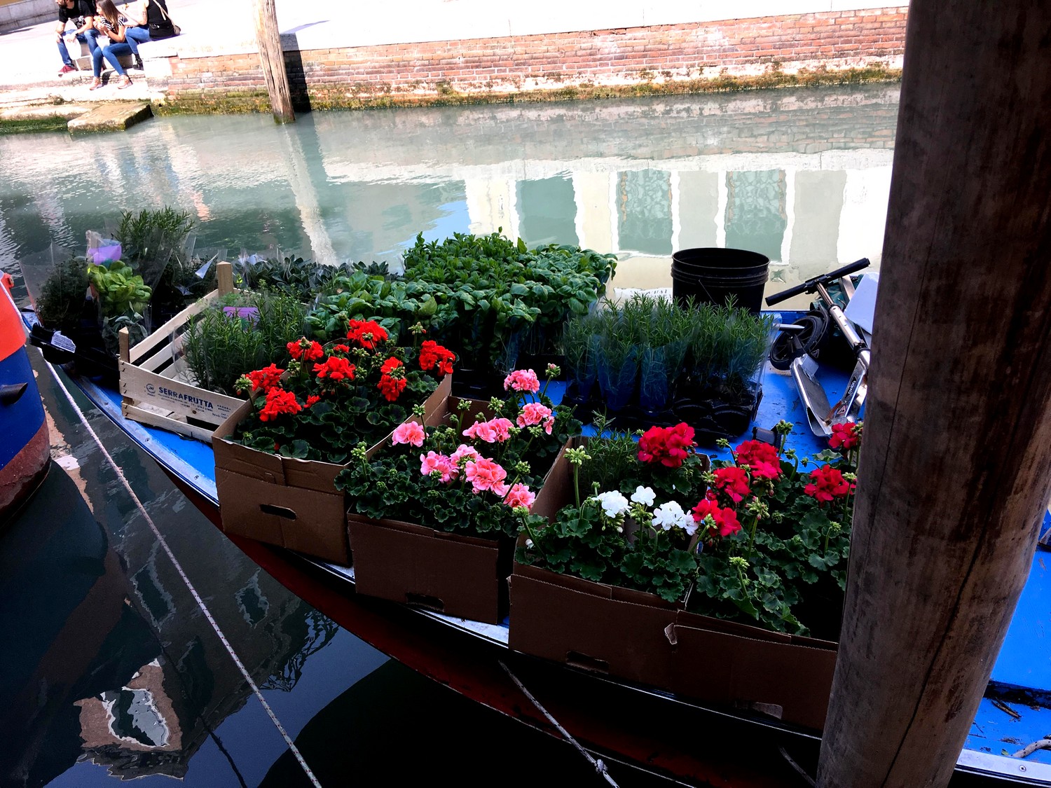 Торговля цветами с лодки в Венеции