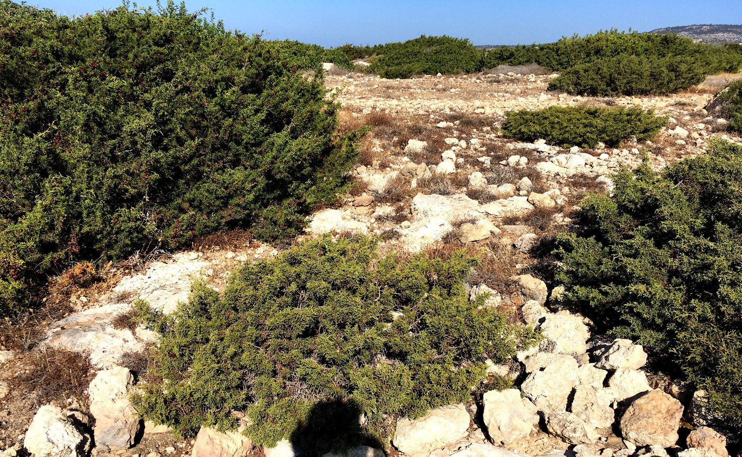 Полуостров Маа-Палеокастро на Кипре