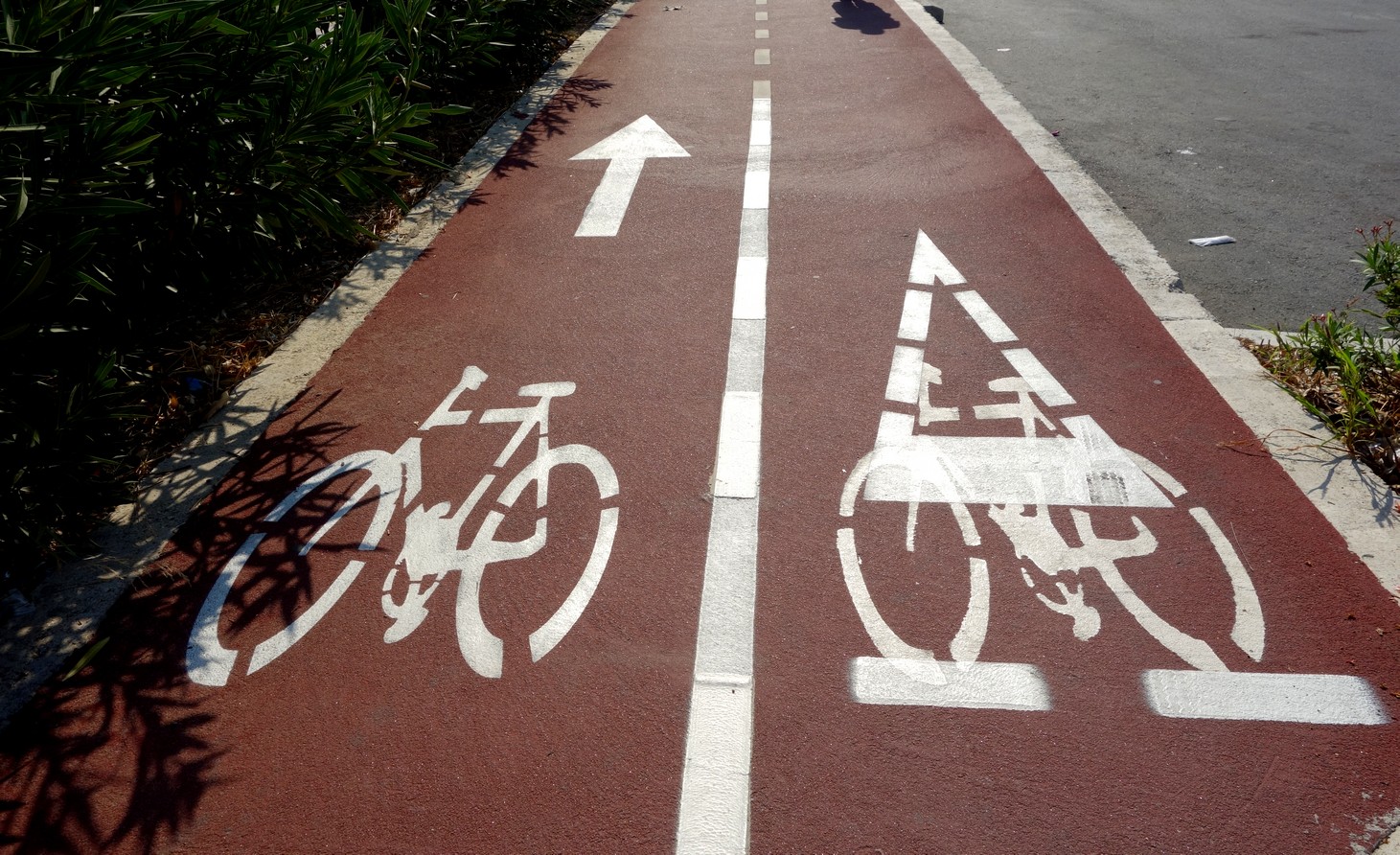 Дорожки для пешеходов и для велосипедистов в Пафосе