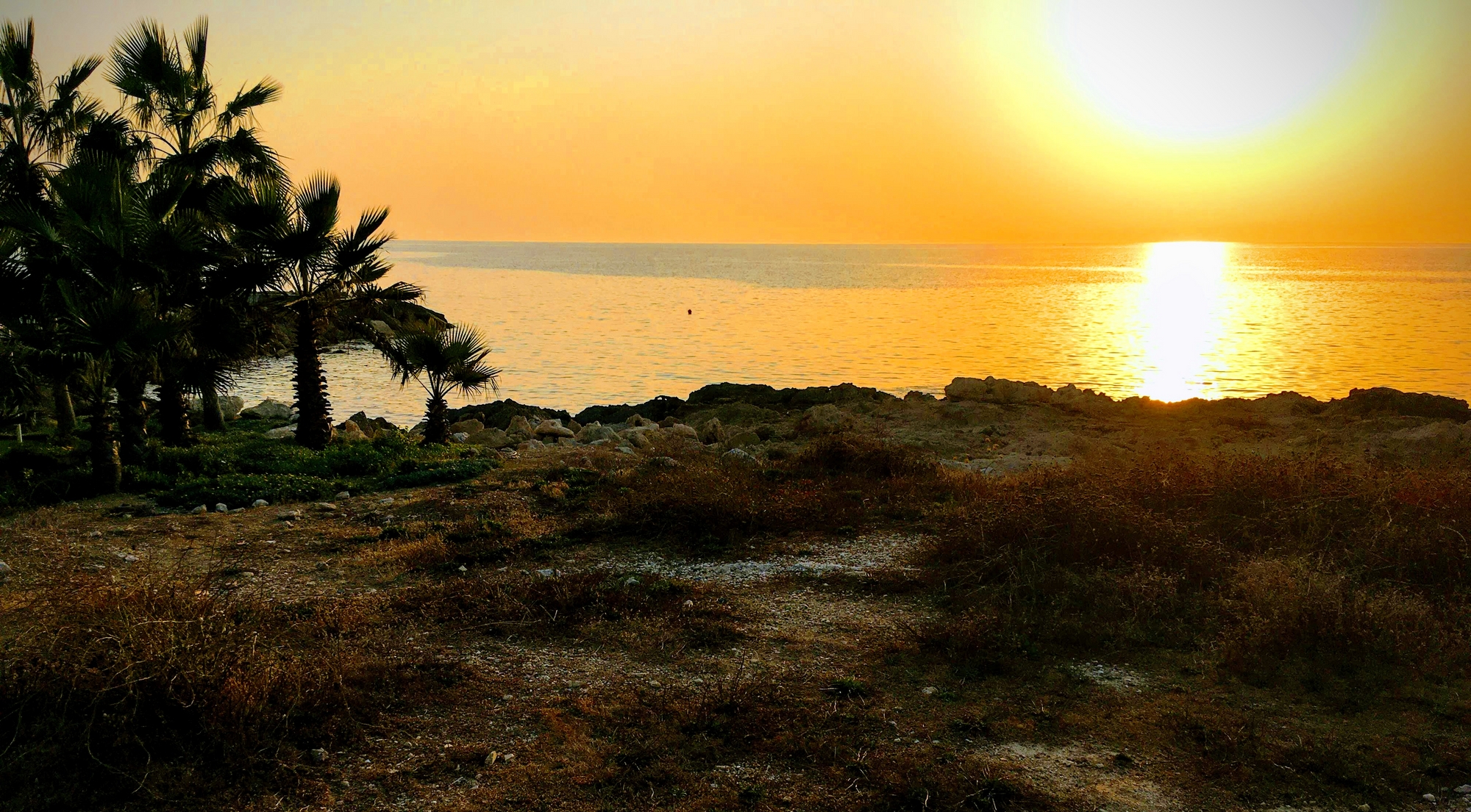 Отель Louis Ledra Beach 4* в Пафосе - закат на Кипре