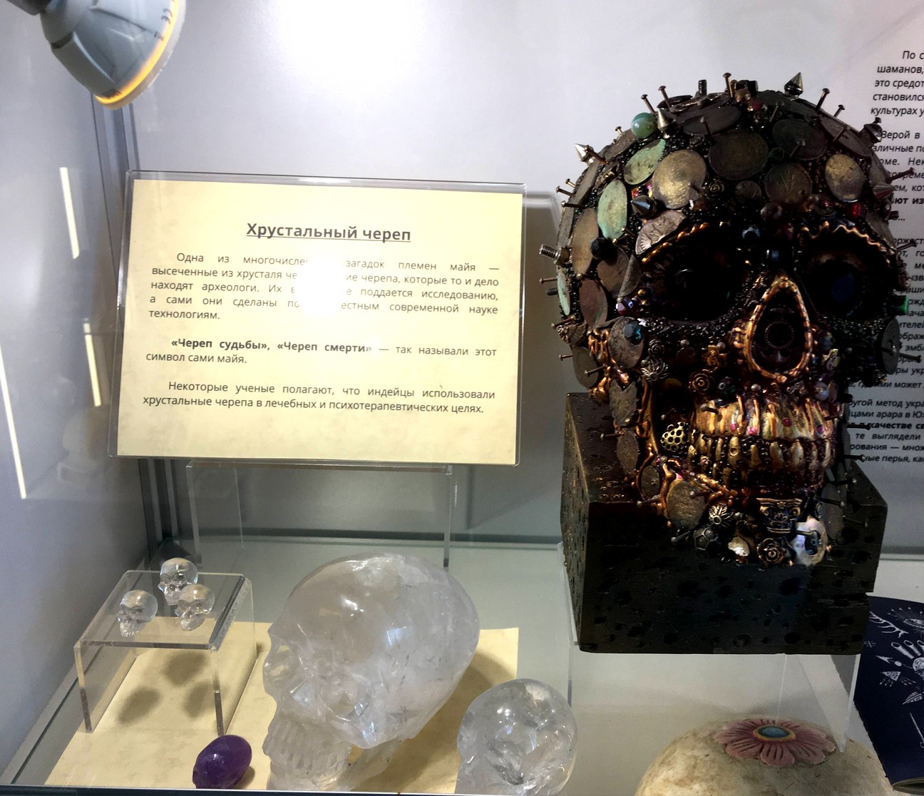 Музей скелетов и черепов - Зеленоградск