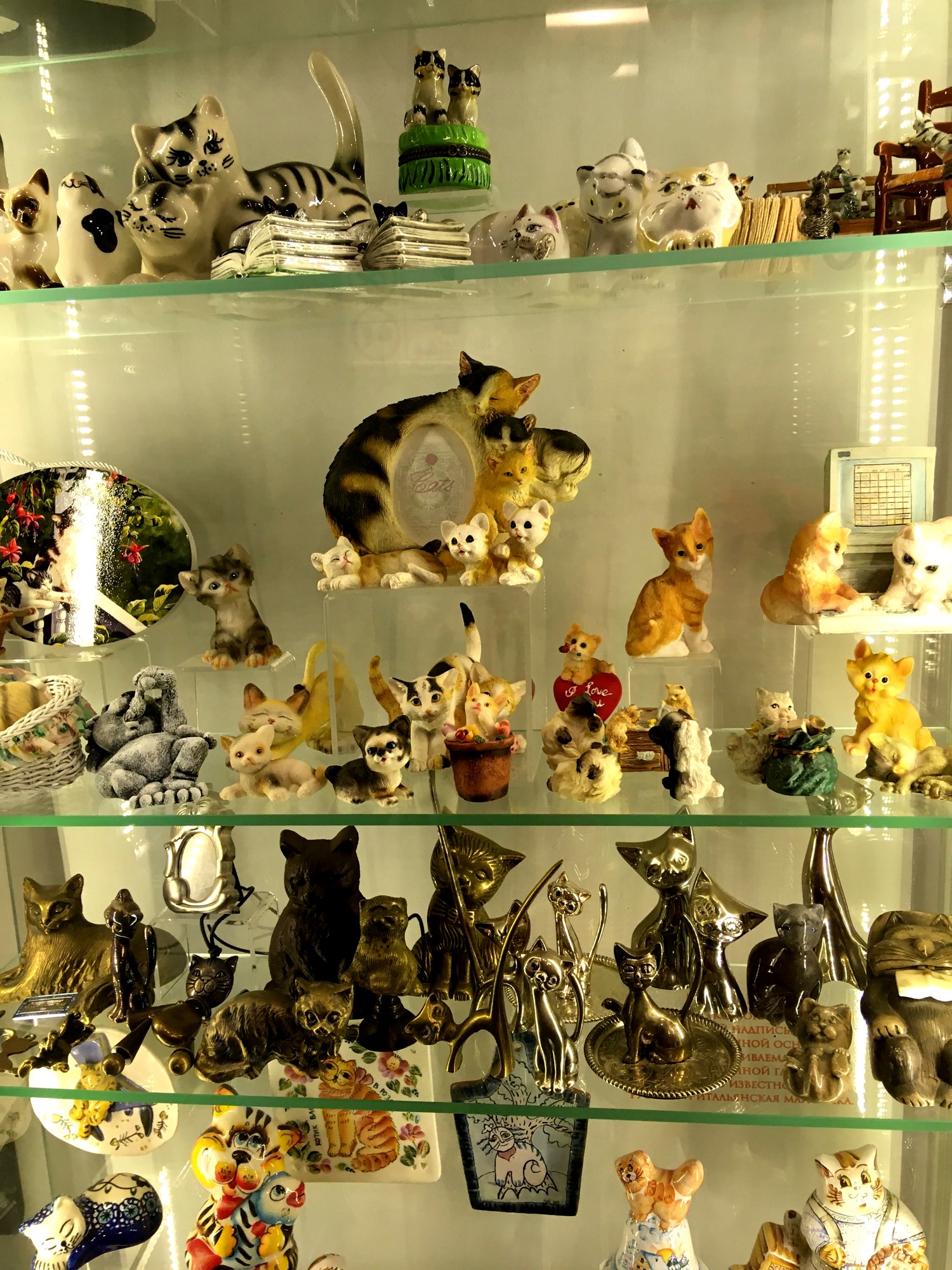 Музей кошек в Зеленоградске