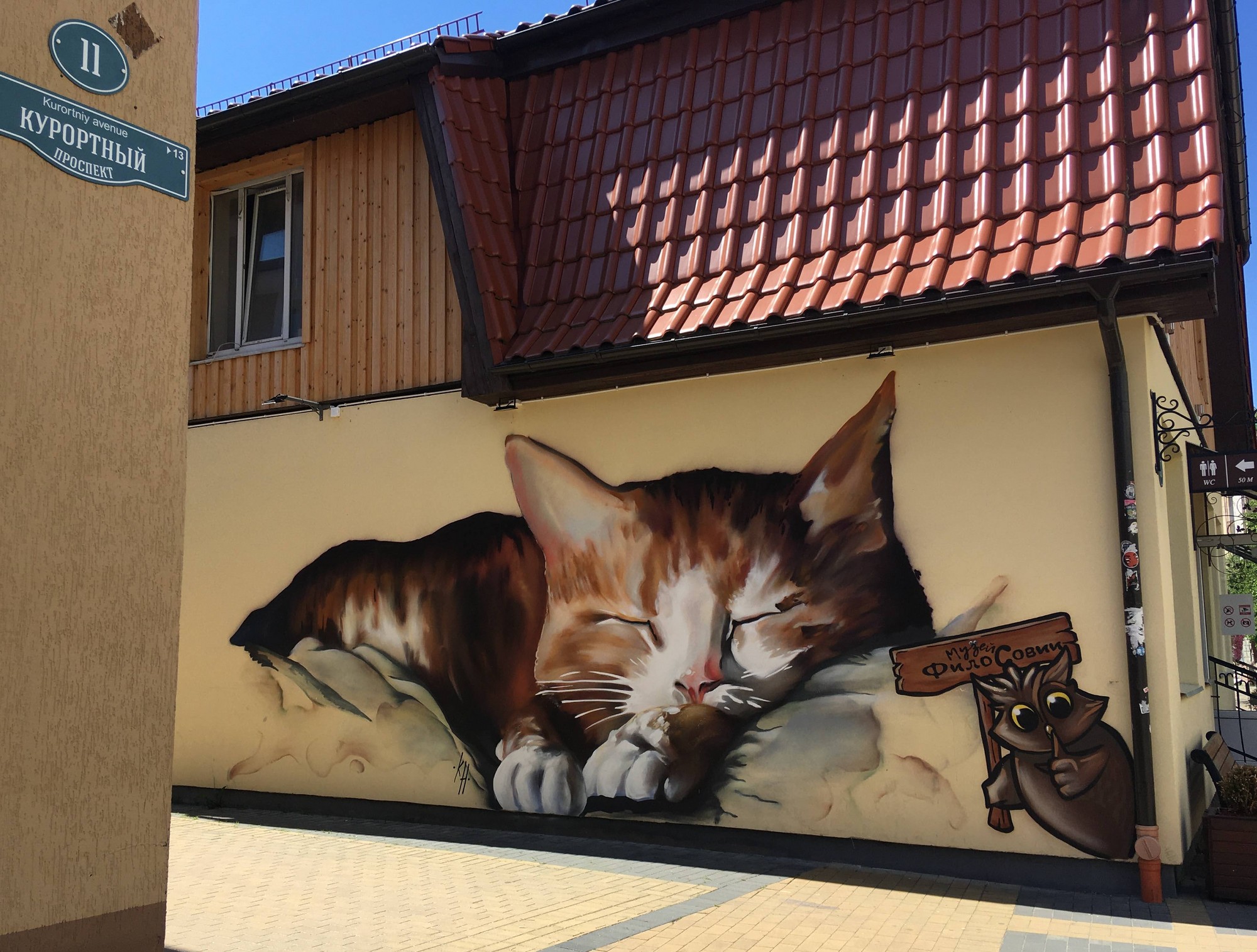 Образ кошек на стенах домов в Зеленоградске