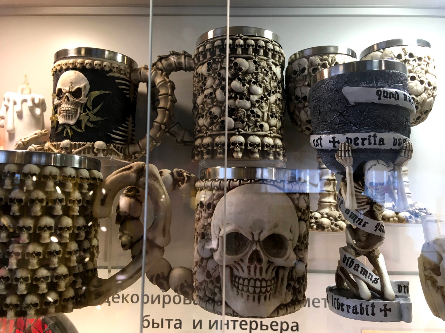 Музей скелетов и черепов - Зеленоградск