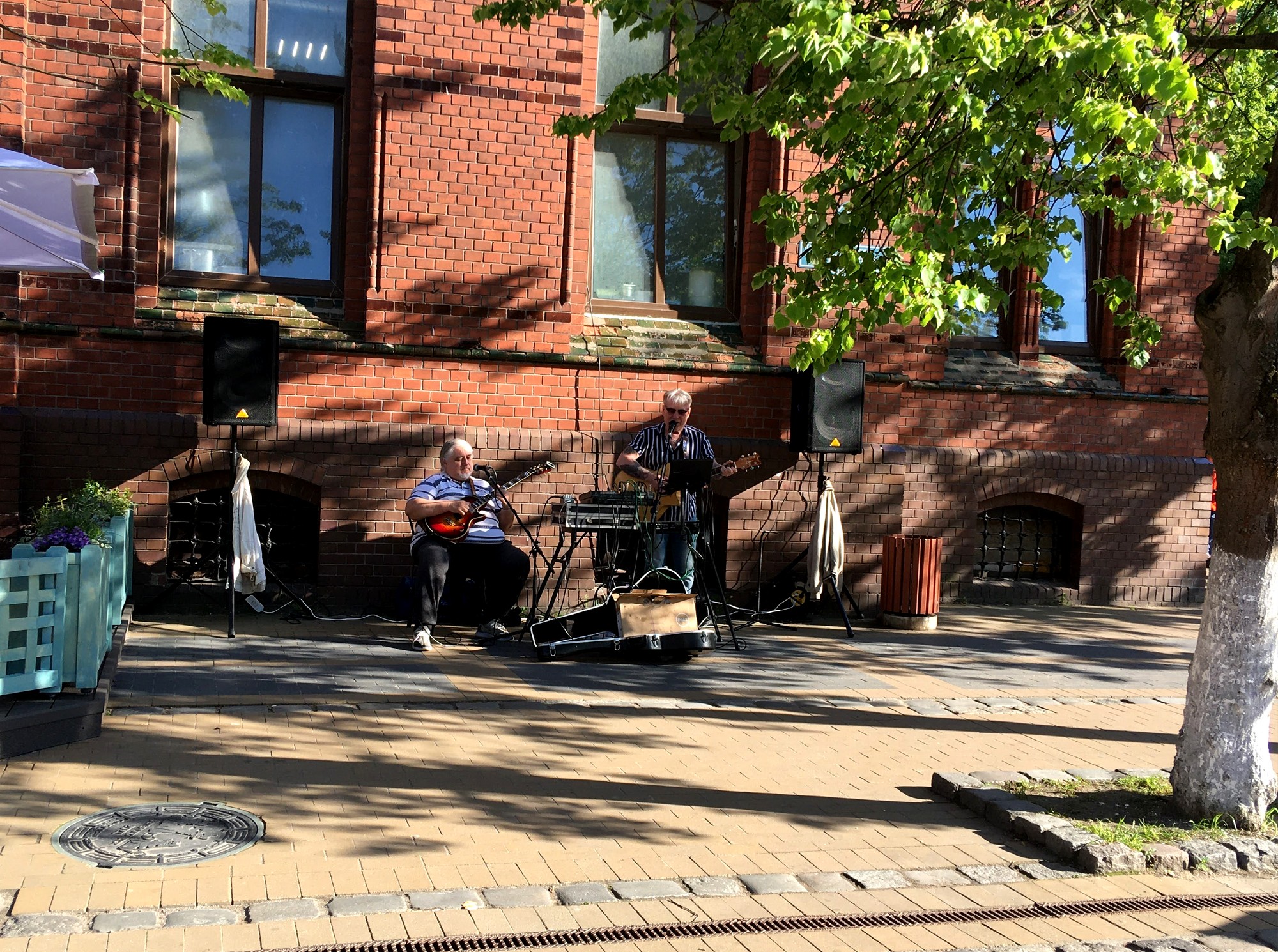 Музыканты на улицах Зеленоградска