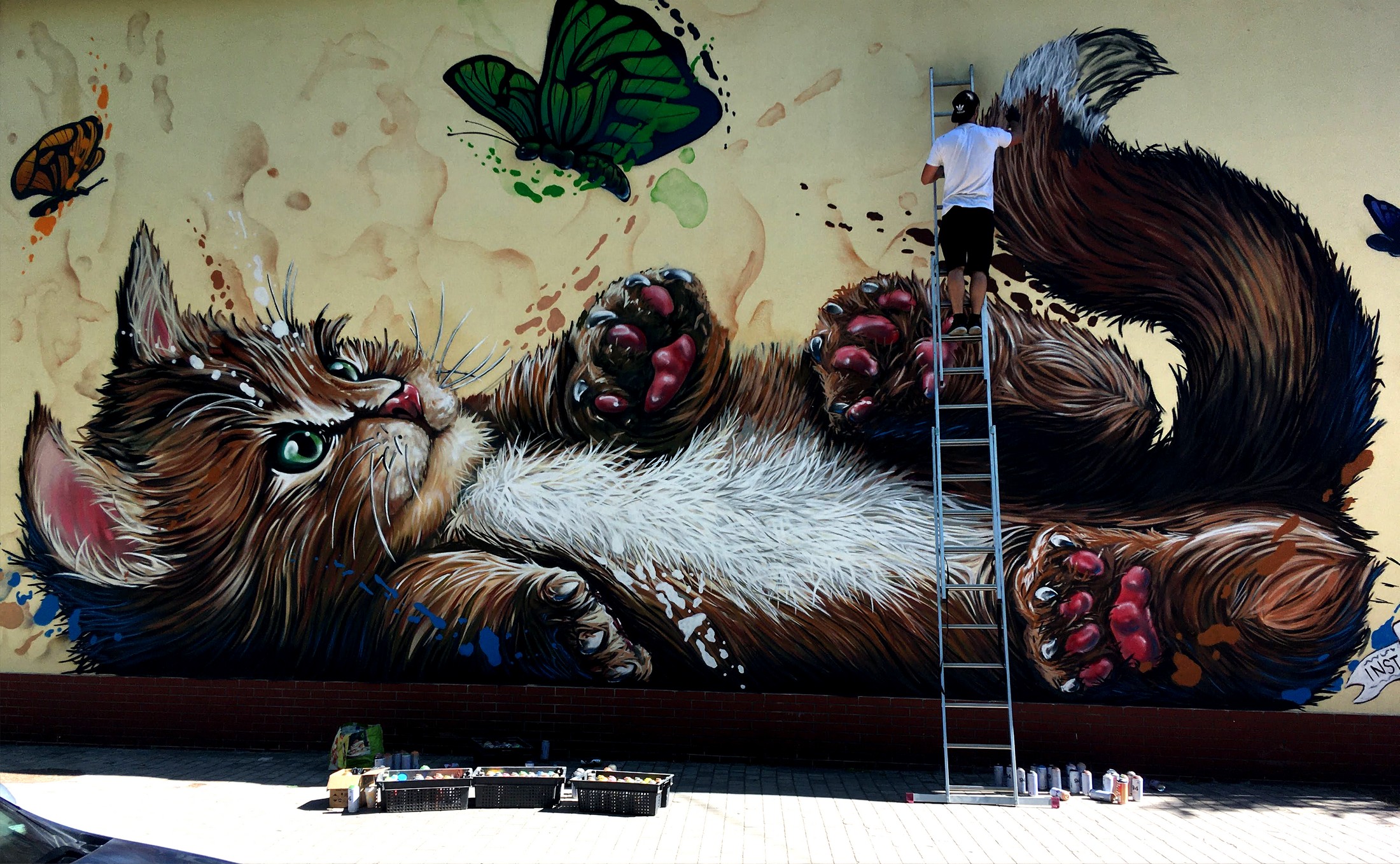 Образ кошек на стенах домов в Зеленоградске