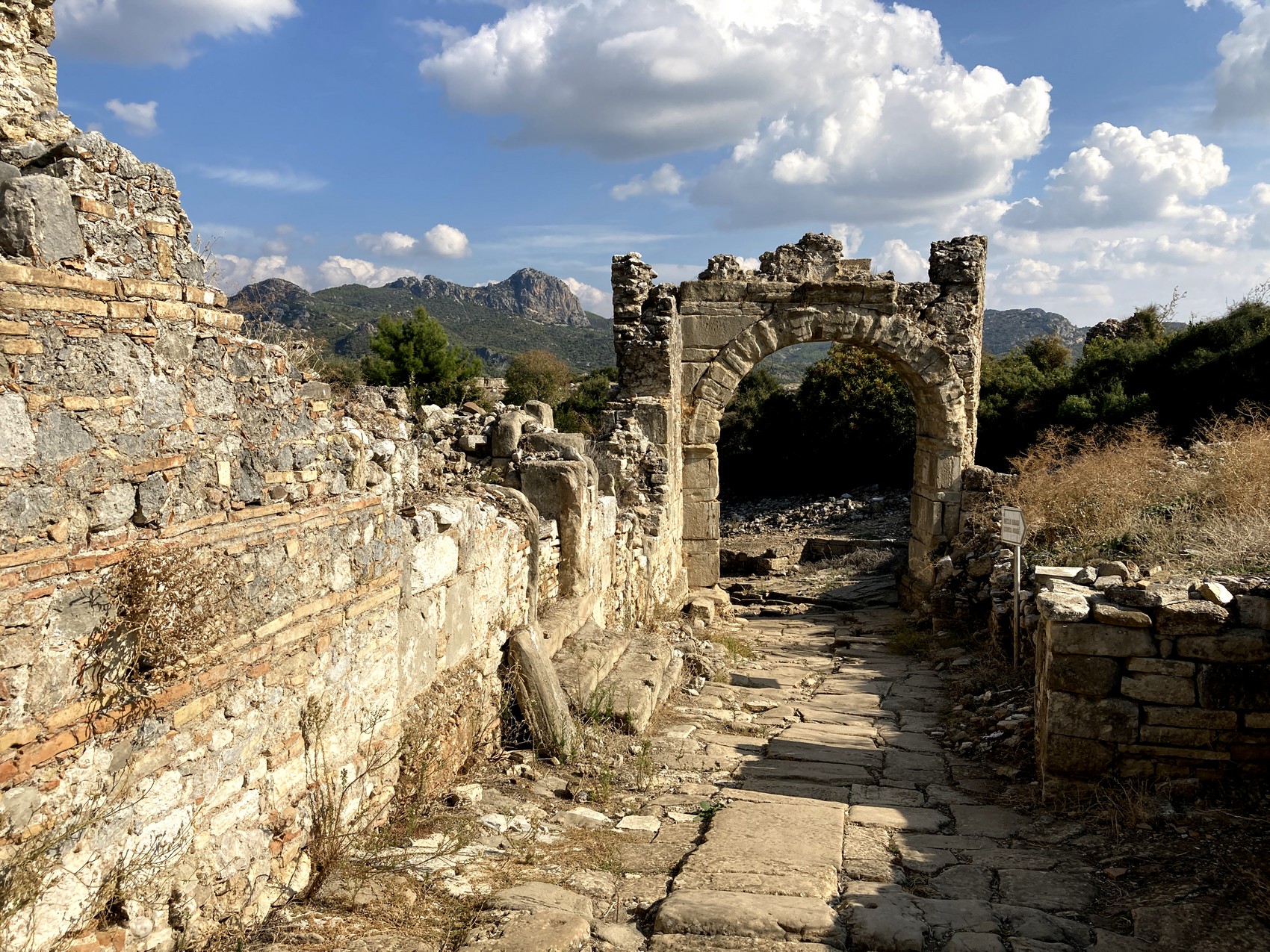 Монументальные Восточные ворота - Аспендос